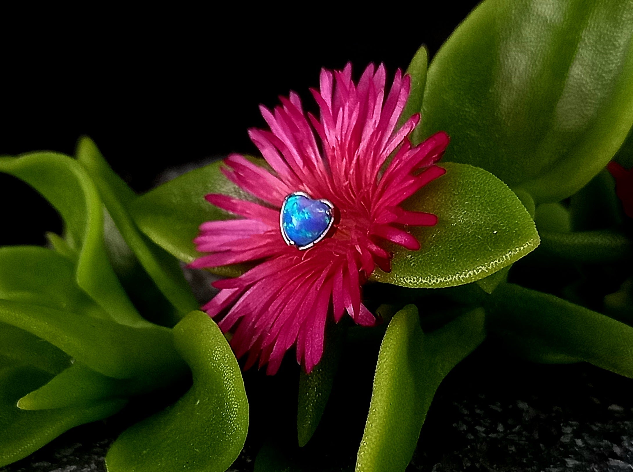 Corazón ópalo colores - titanio grado implante ASTM F-136