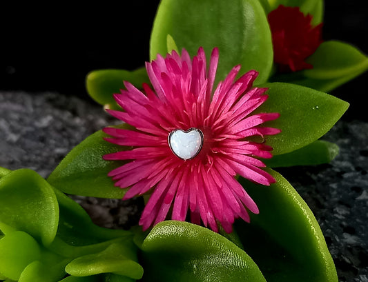 Titanio grado implante. Corazón ópalo colores