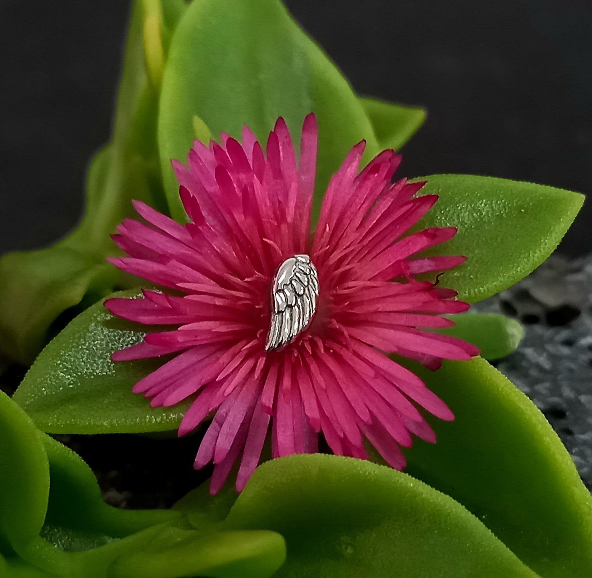 Alá - titanio grado implante ASTM F-136