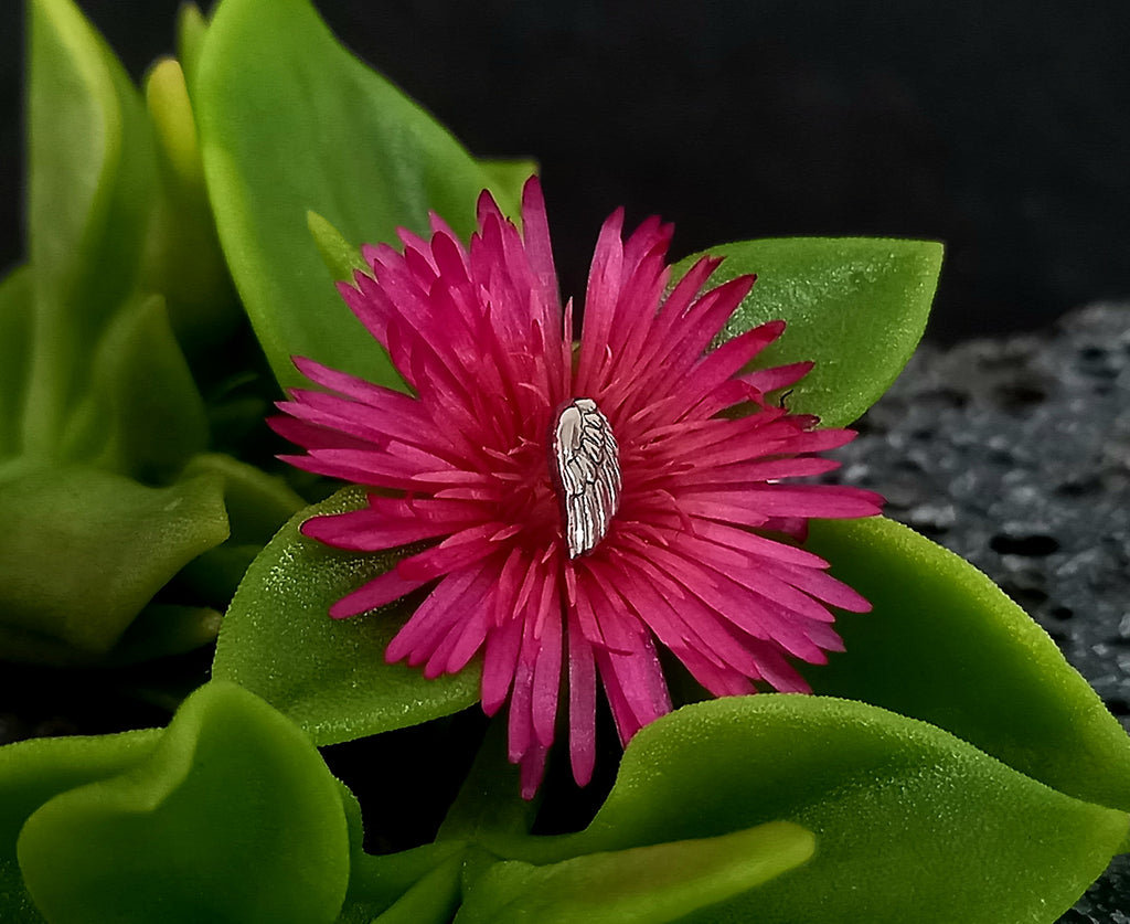 Alá - titanio grado implante ASTM F-136