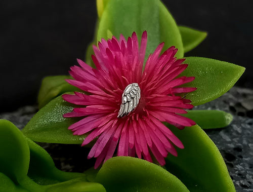 Alá - titanio grado implante ASTM F-136