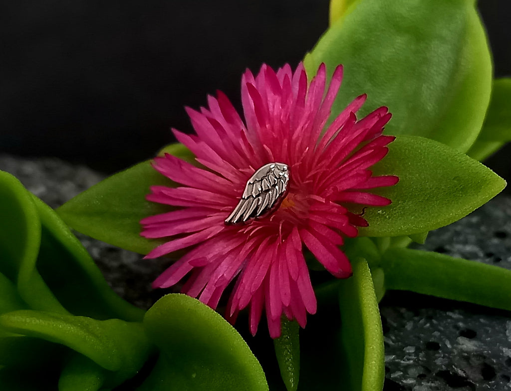 Alá - titanio grado implante ASTM F-136