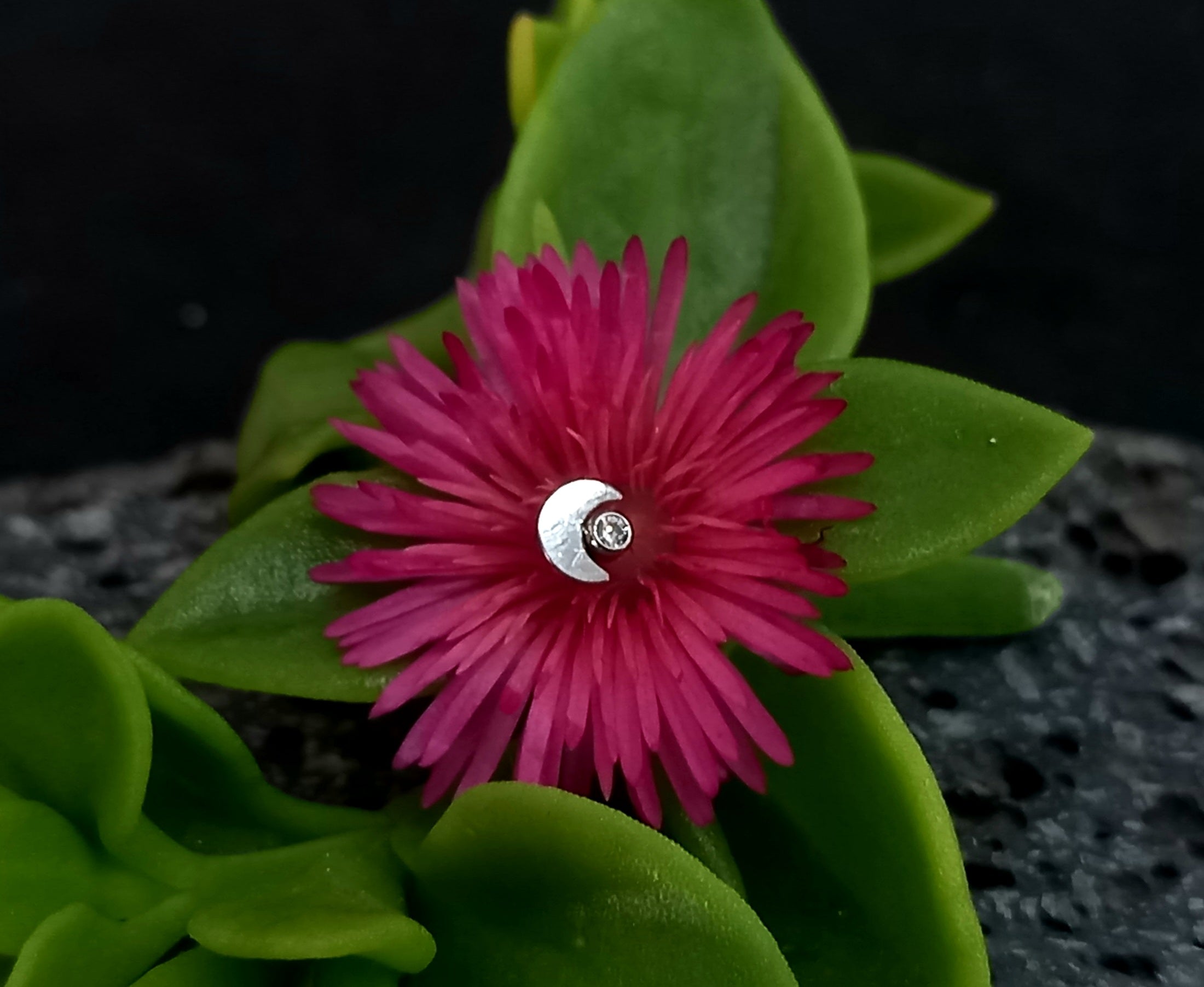 Mini luna con brillo - titanio grado implante ASTM F-136