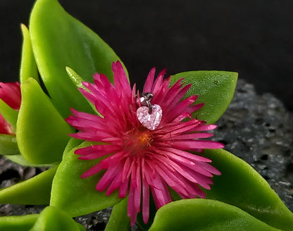 Titanio grado implante. Colgante corazon rosa