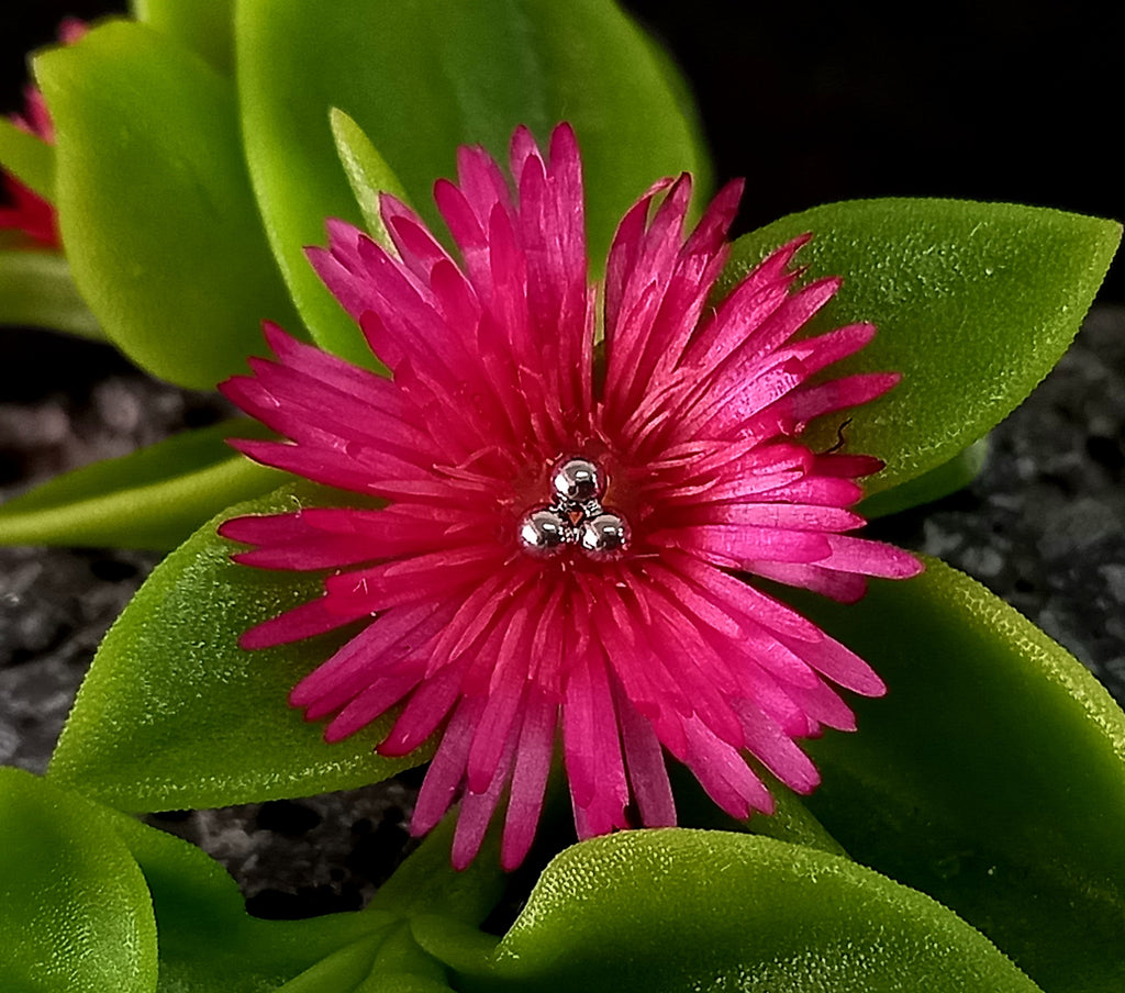 Trinity - titanio grado implante ASTM F-136