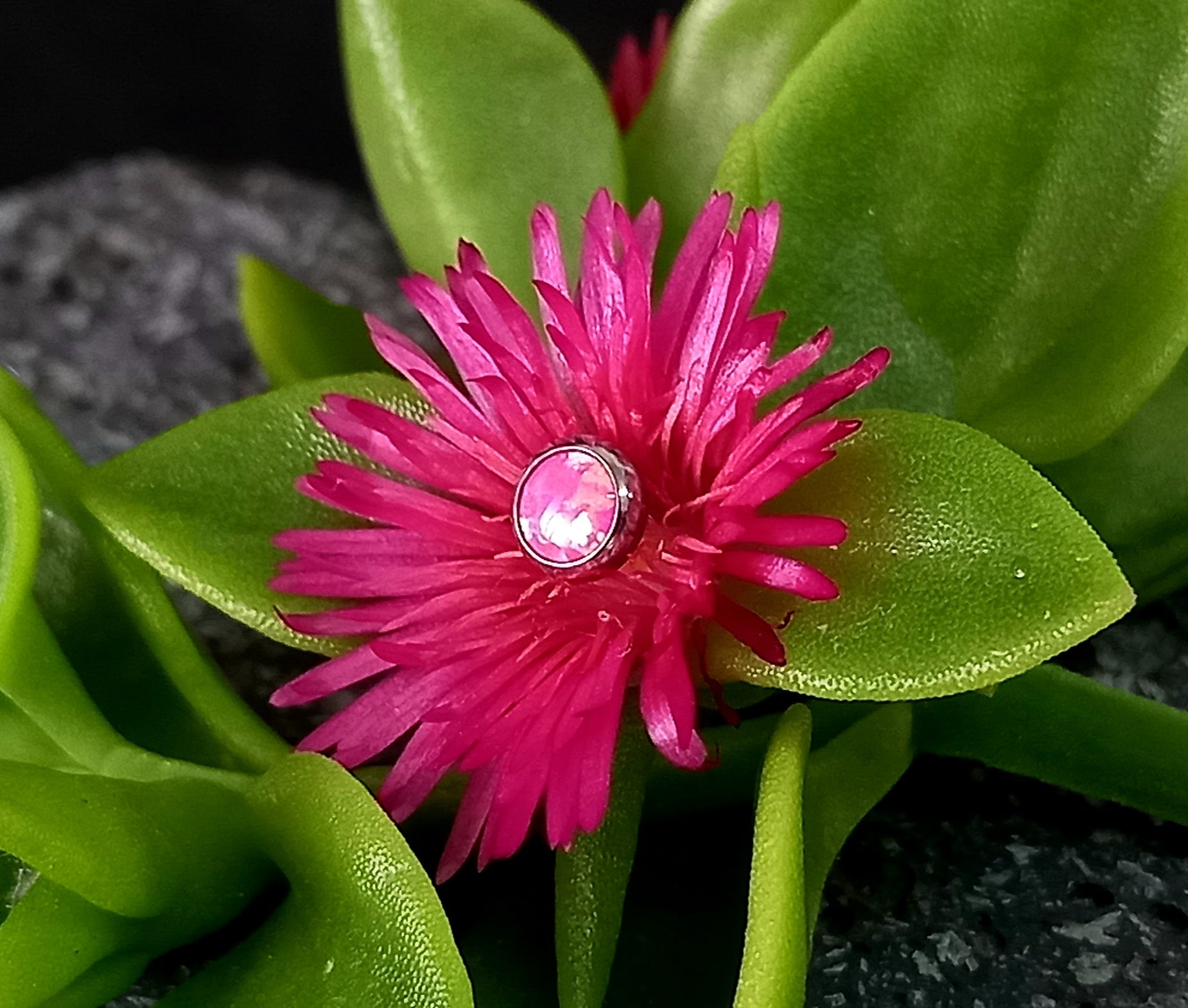 Opalo rosa 5mm  - titanio grado implante ASTM F-136