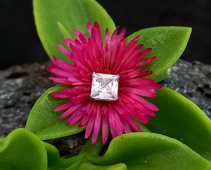Titanio grado implante. Top Prong Set clear (cuadrado)
