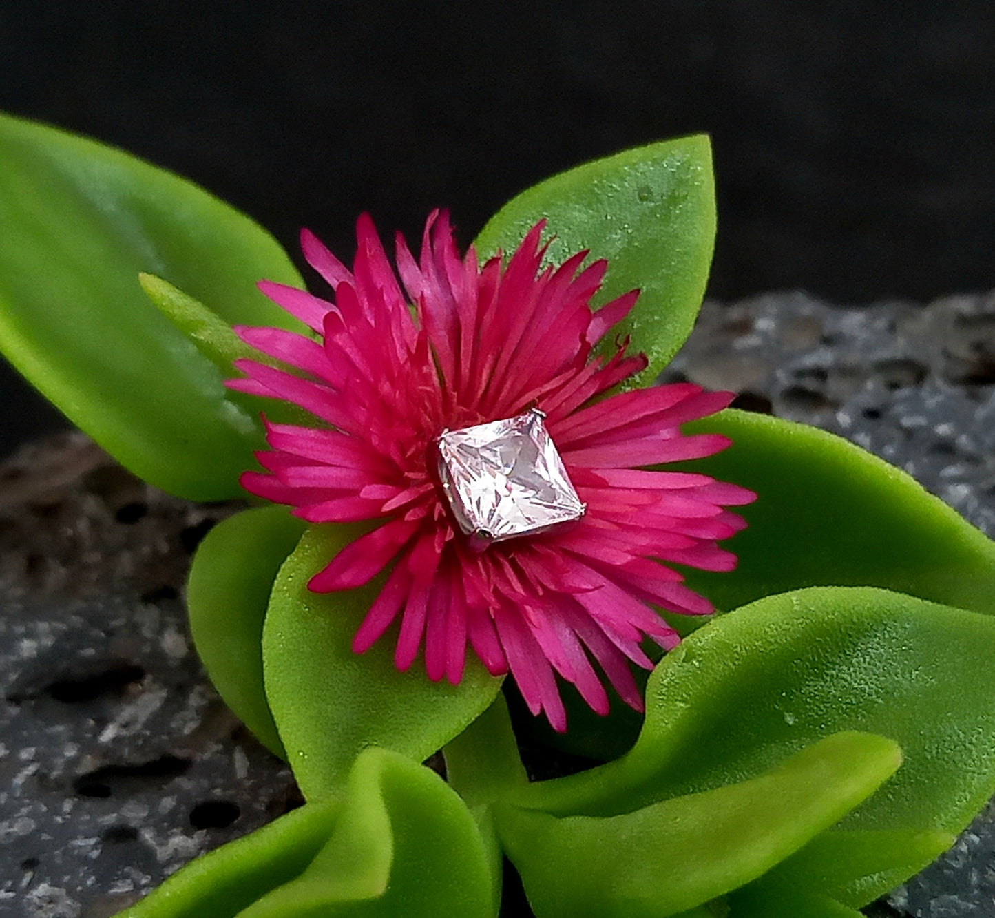 Titanio grado implante. Top Prong Set clear (cuadrado)
