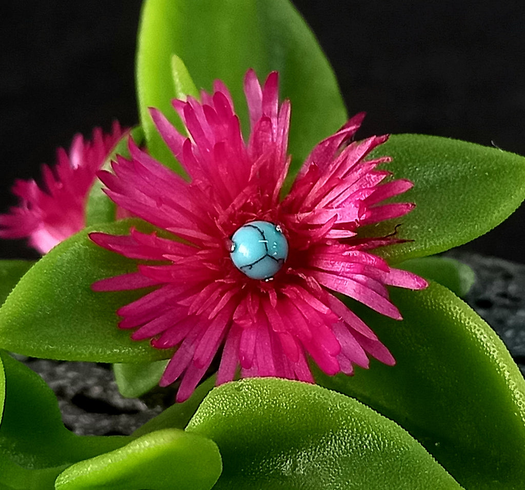 Barbell con esfera turquesa - titanio grado implante ASTM F-136