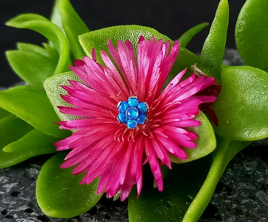 Titanio grado implante. Flor opalo azul