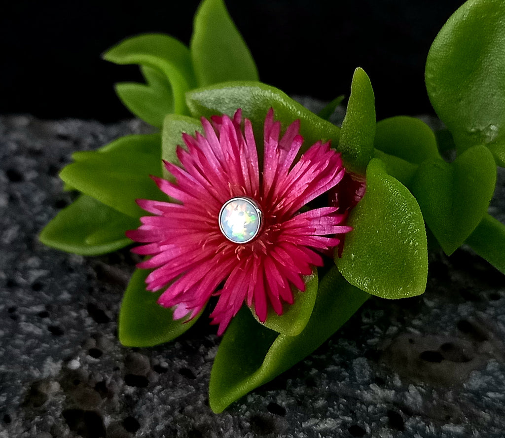 Top ópalo blanco - titanio grado implante ASTM F-136