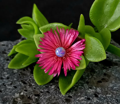 Titanio grado implante. Top ópalo morado  5 mm