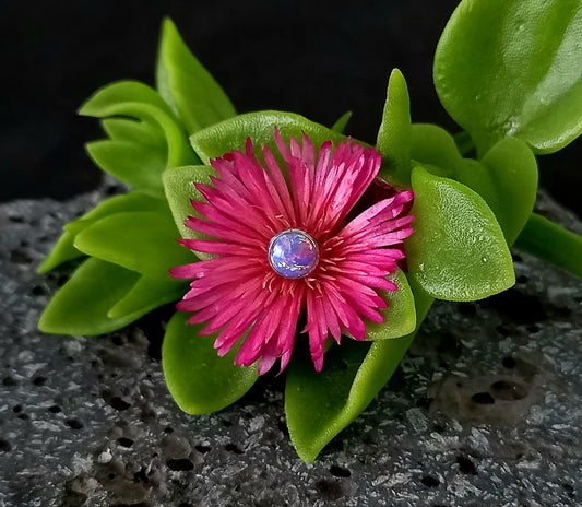Titanio grado implante. Top ópalo morado  5 mm
