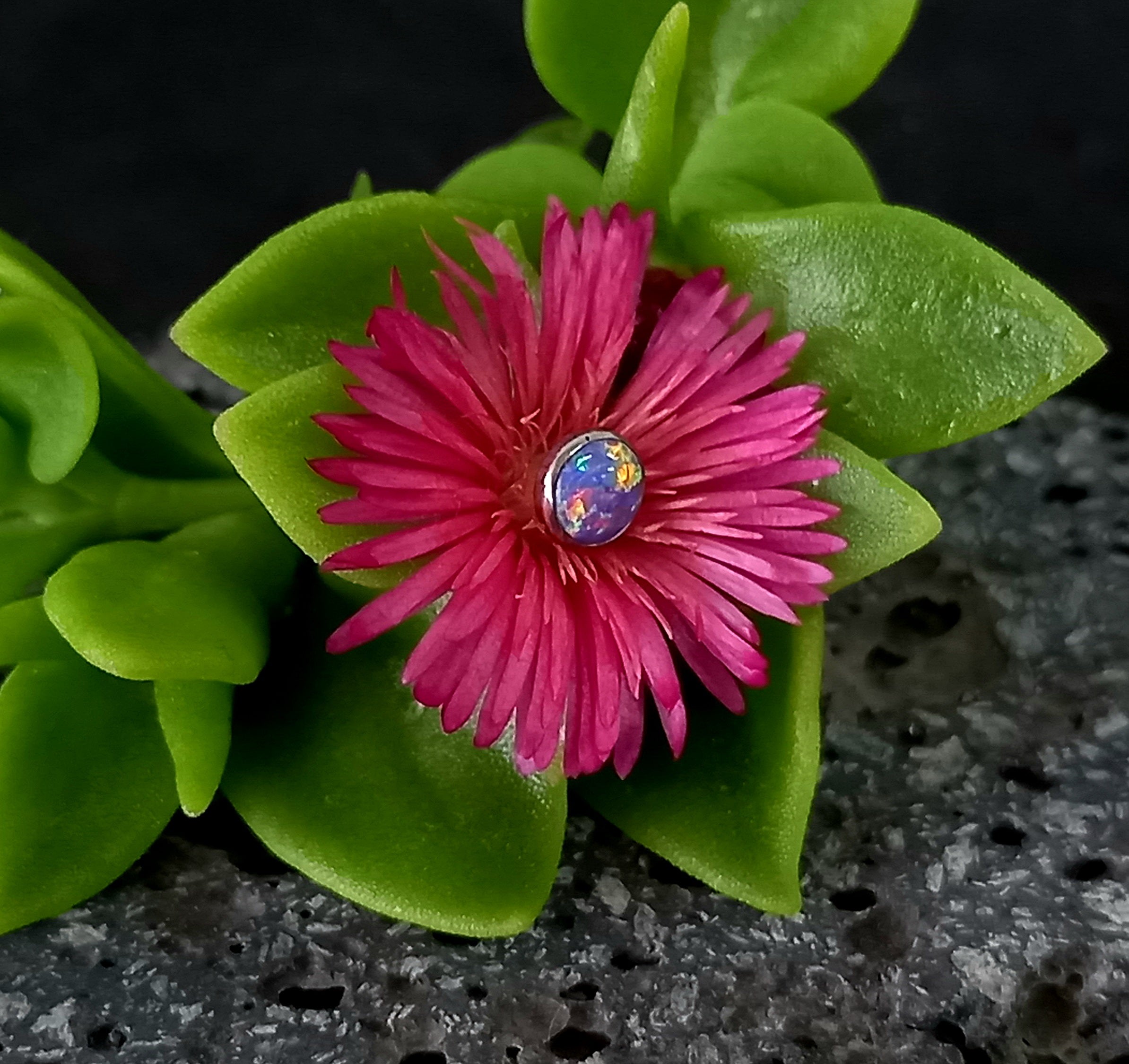 Top ópalo morado - titanio grado implante ASTM F-136