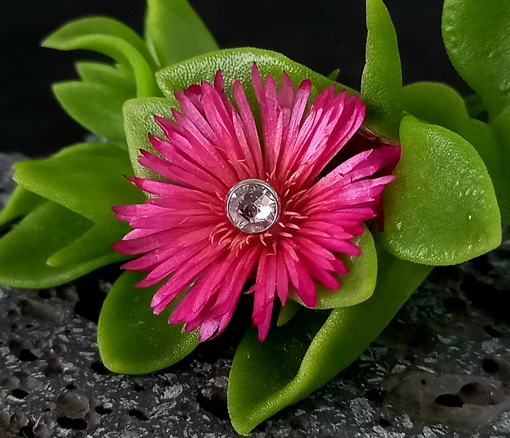 Top Cristal 14g - titanio grado implante ASTM F-136