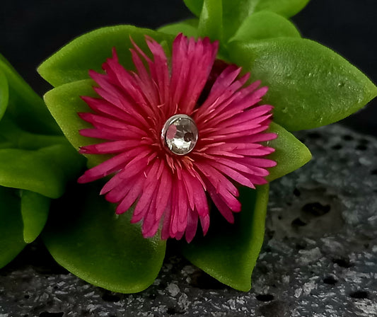 Top Cristal 14g - titanio grado implante ASTM F-136