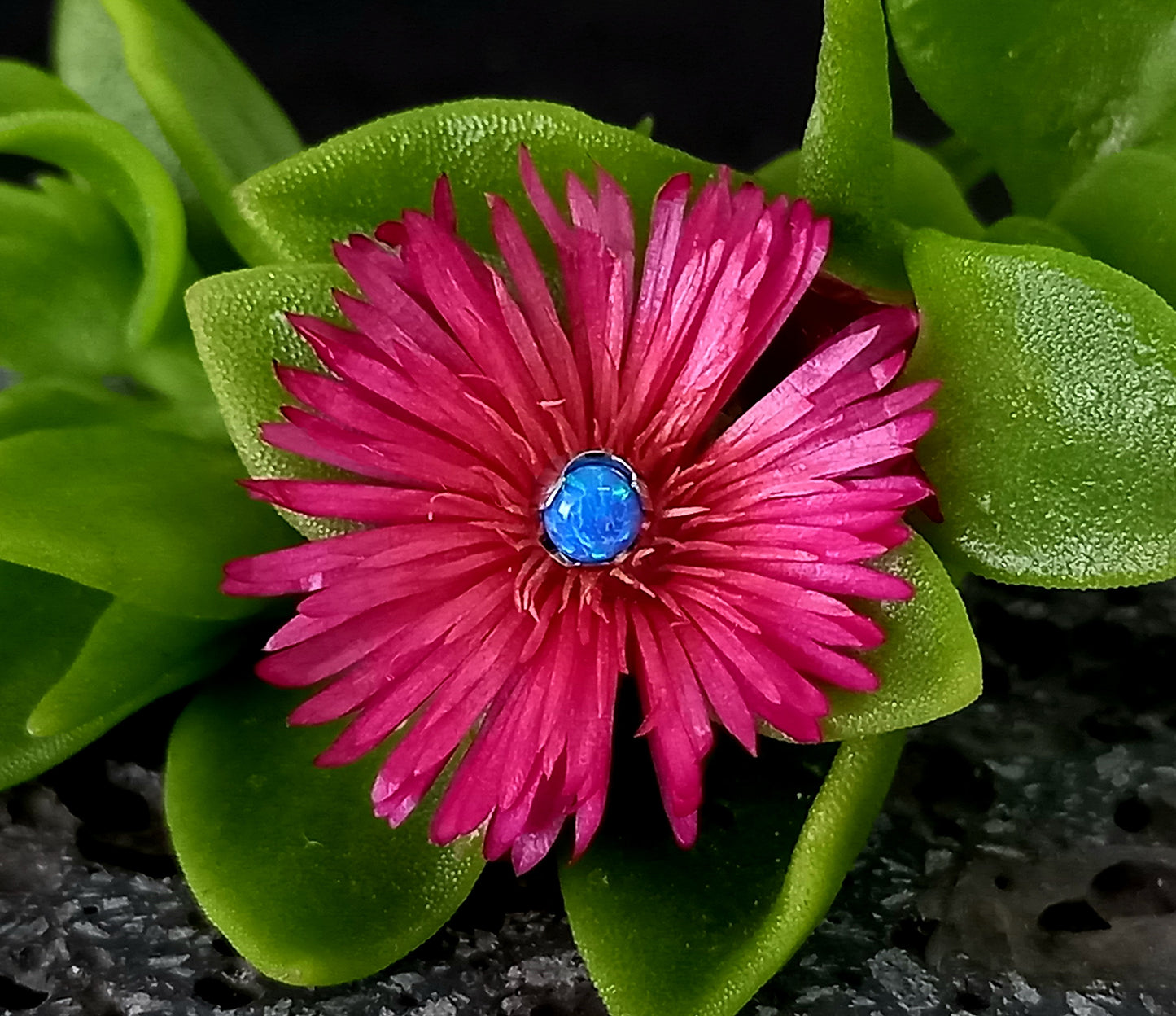 Opalo azul 4 mm -14 g - titanio grado implante ASTM F-136