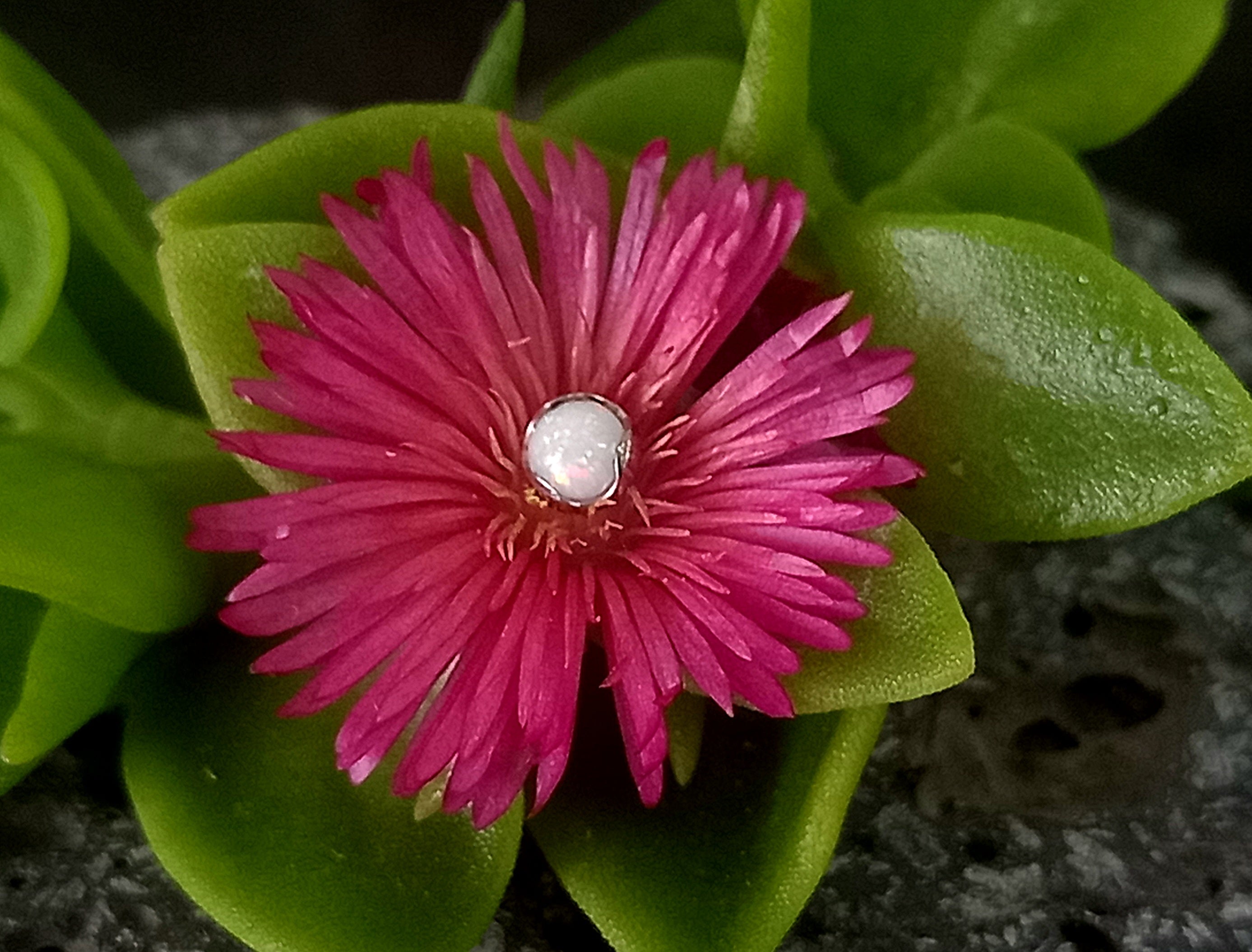 Opalo blanco 4 mm -14 g - titanio grado implante ASTM F-136