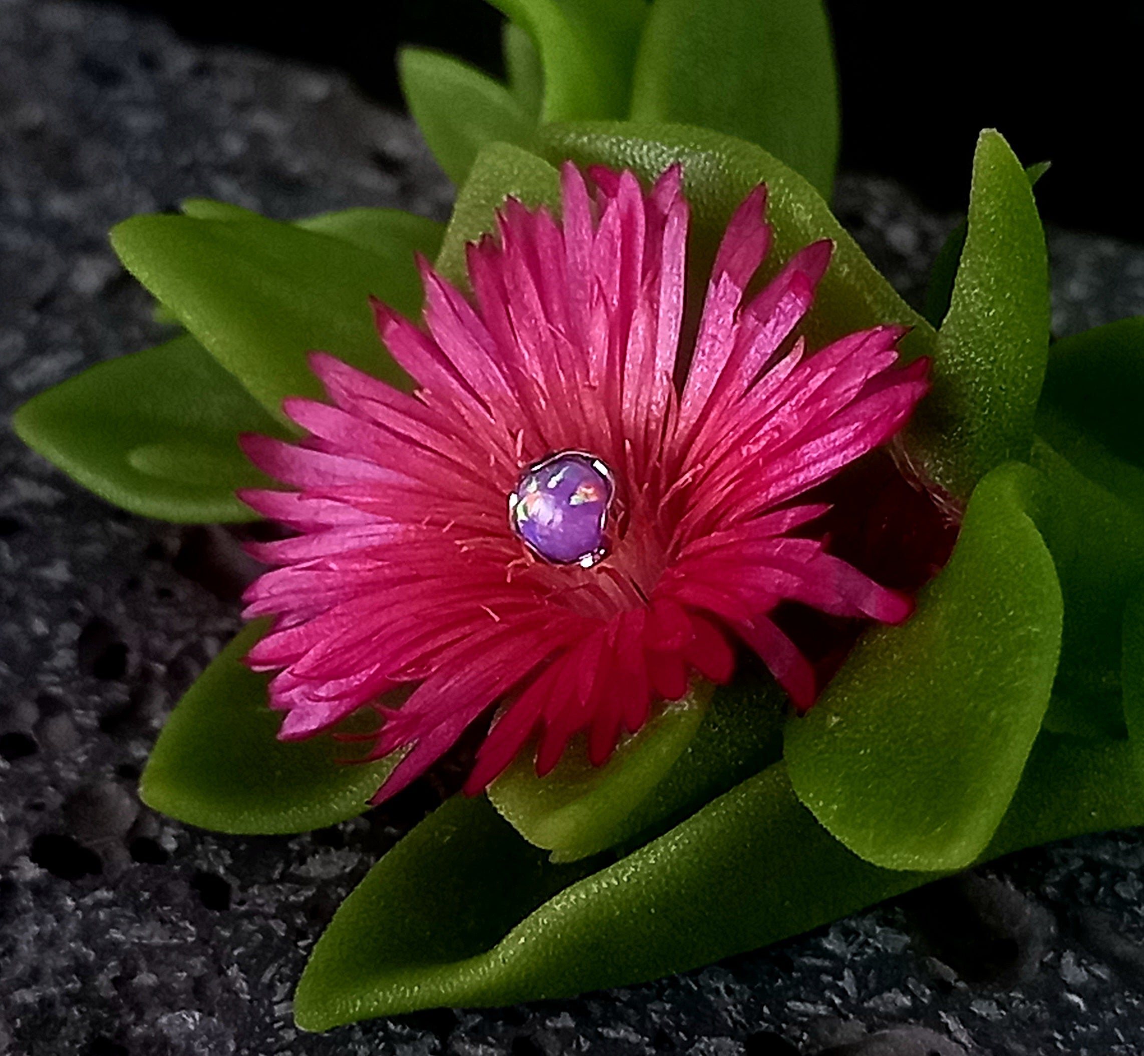 Opalo purpura 4 mm -14 g - titanio grado implante ASTM F-136