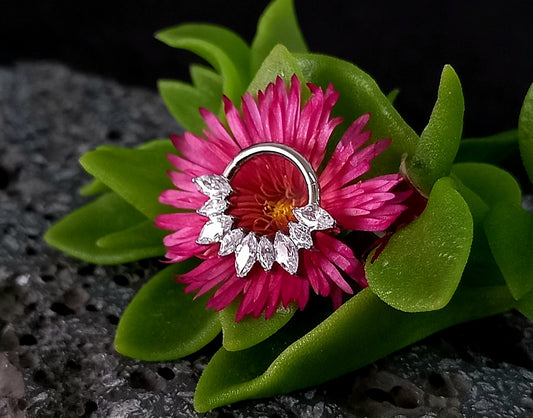 Titanio grado implante. Clicker marquesa 9 puntas