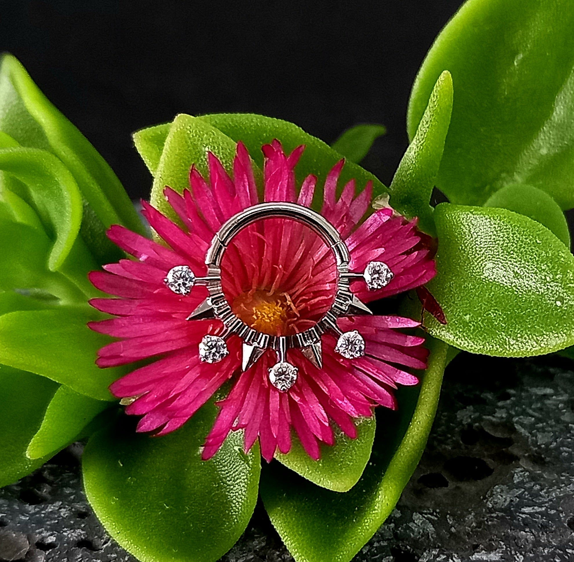 Argolla clicker brillos y puntas