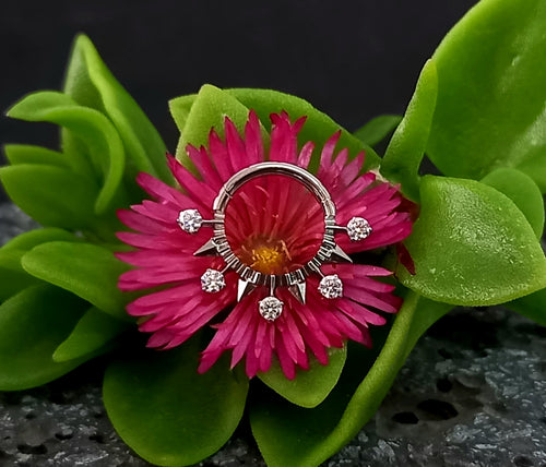 Argolla clicker brillos y puntas