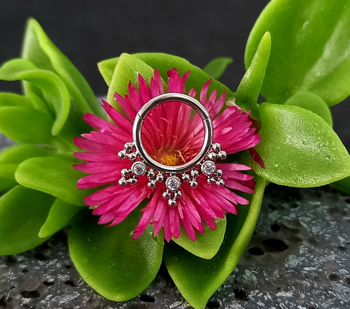 Argolla clicker brillos con racimos trinity