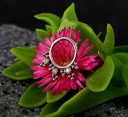 Titanio grado implante. Clicker brillos con racimos trinity