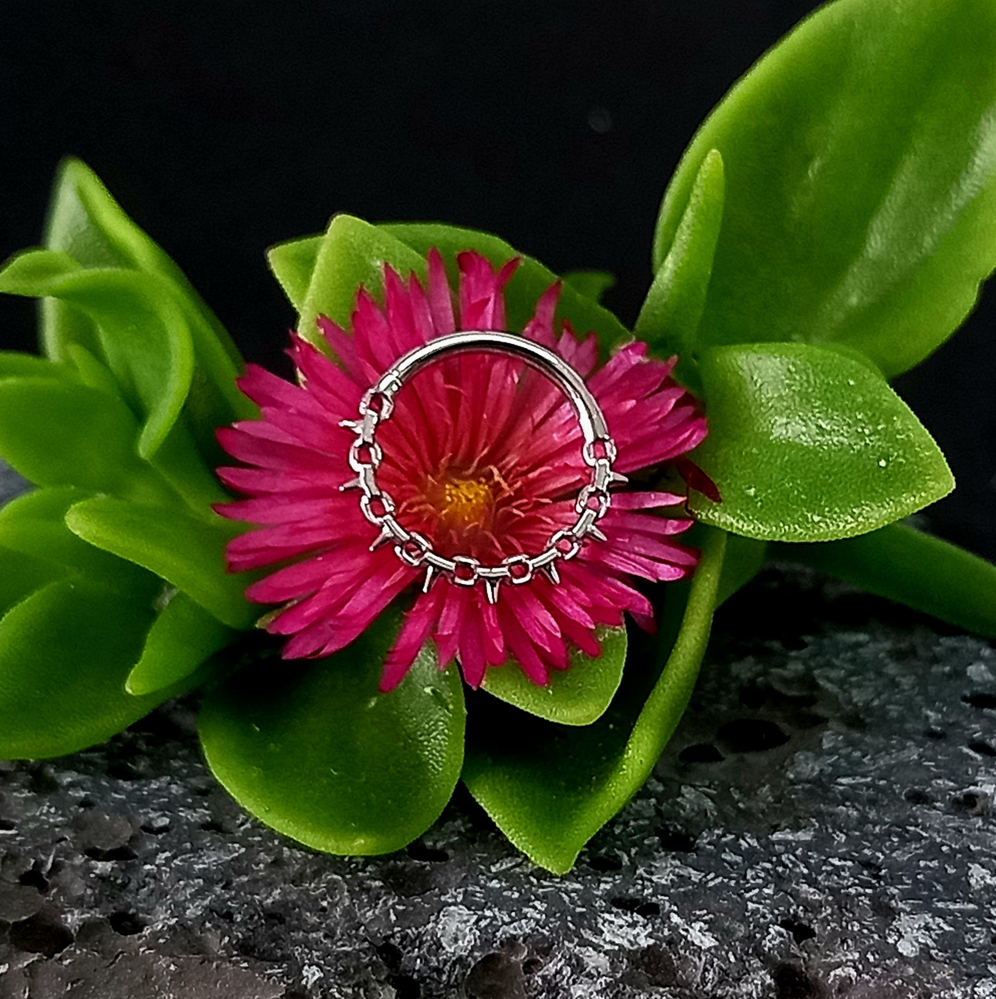 Argolla clicker espinas