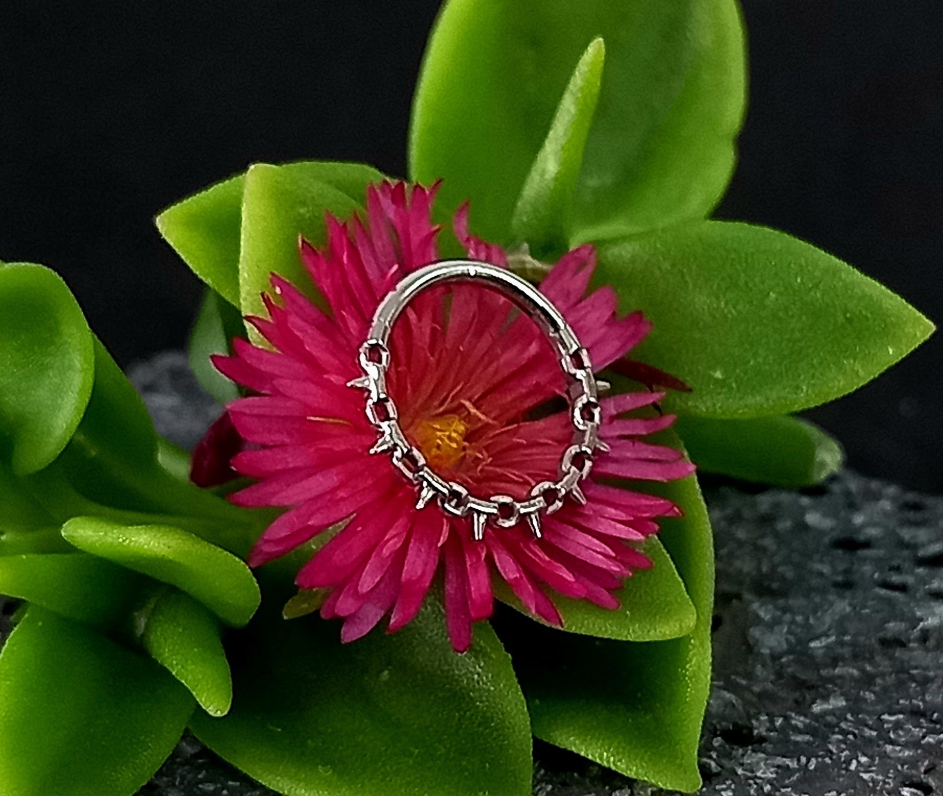 Argolla clicker espinas