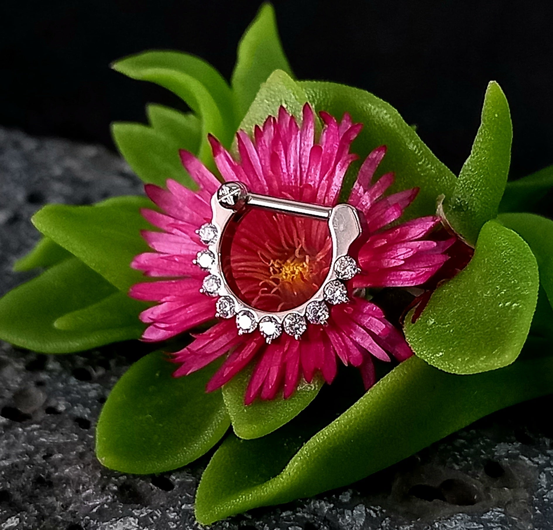 Argolla clicker tipo D con 10 brillos