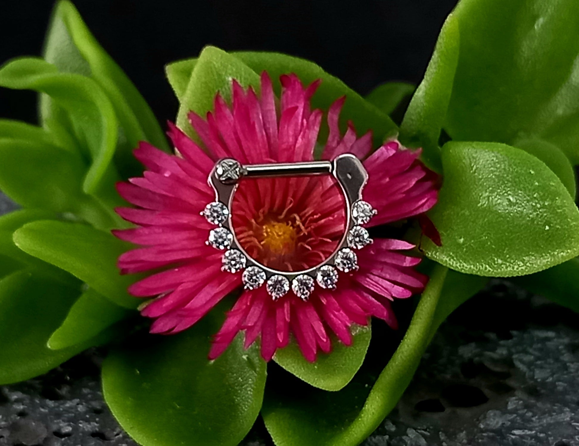 Argolla clicker tipo D con 10 brillos