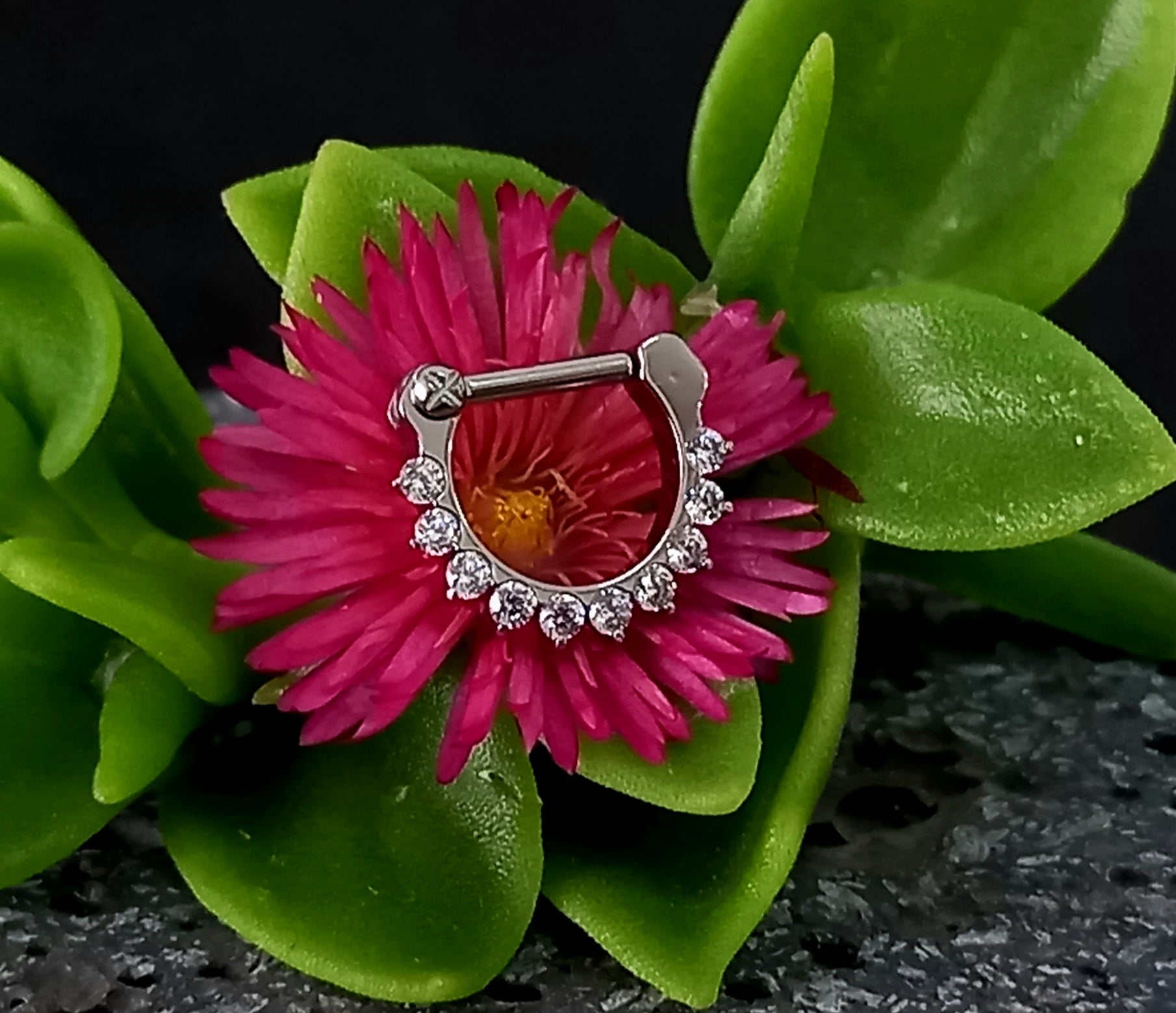 Argolla clicker tipo D con 10 brillos