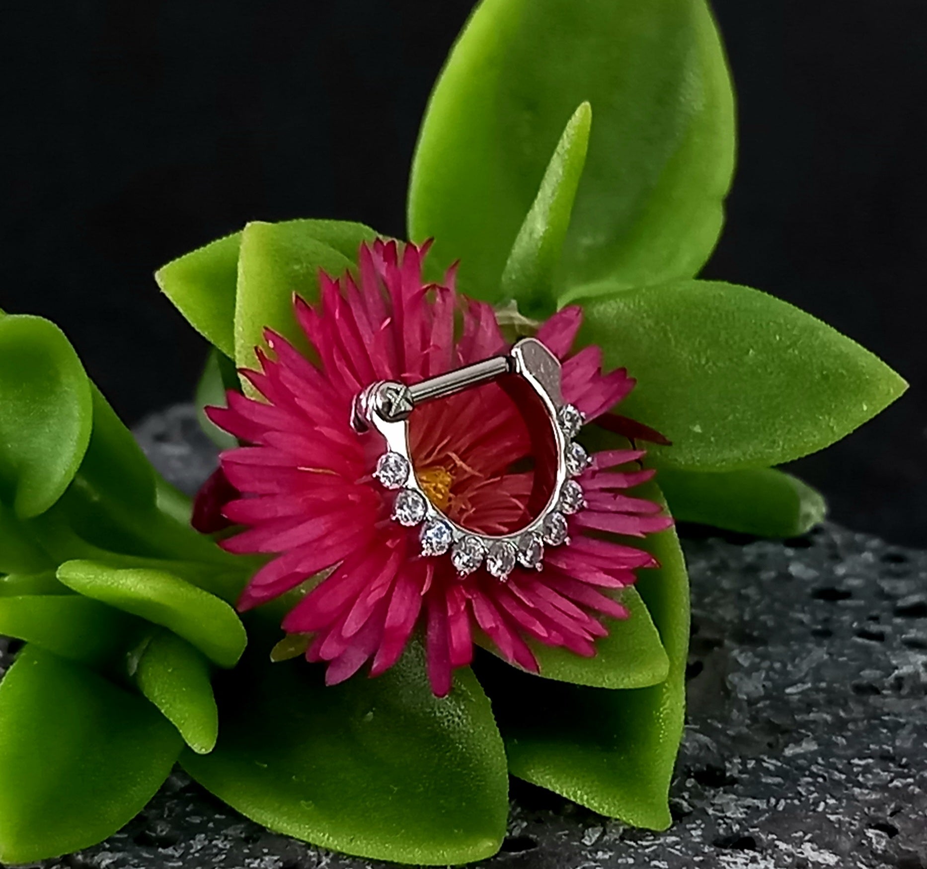 Argolla clicker tipo D con 10 brillos