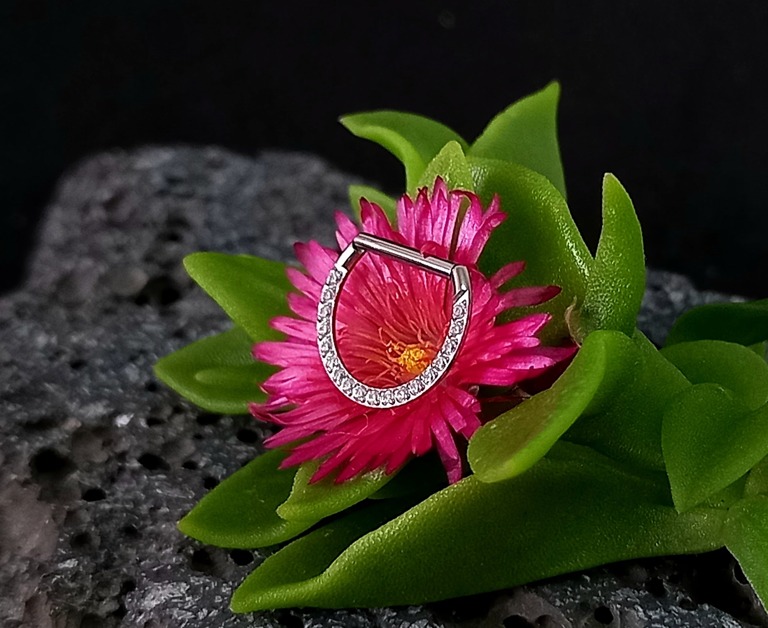 Argolla clicker D con brillo frontal