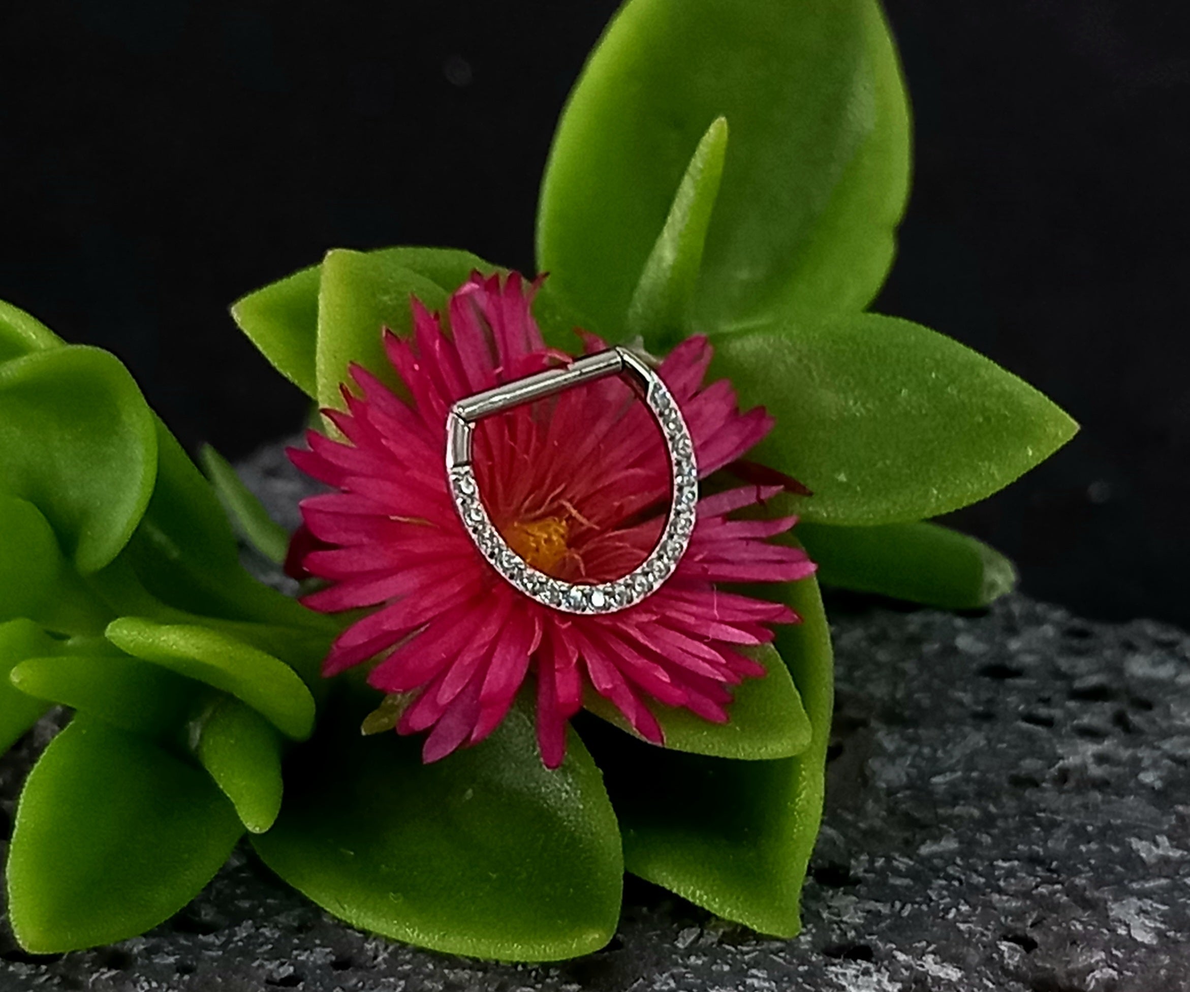 Argolla clicker D con brillo frontal