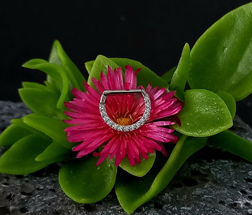 Argolla clicker D con brillo frontal