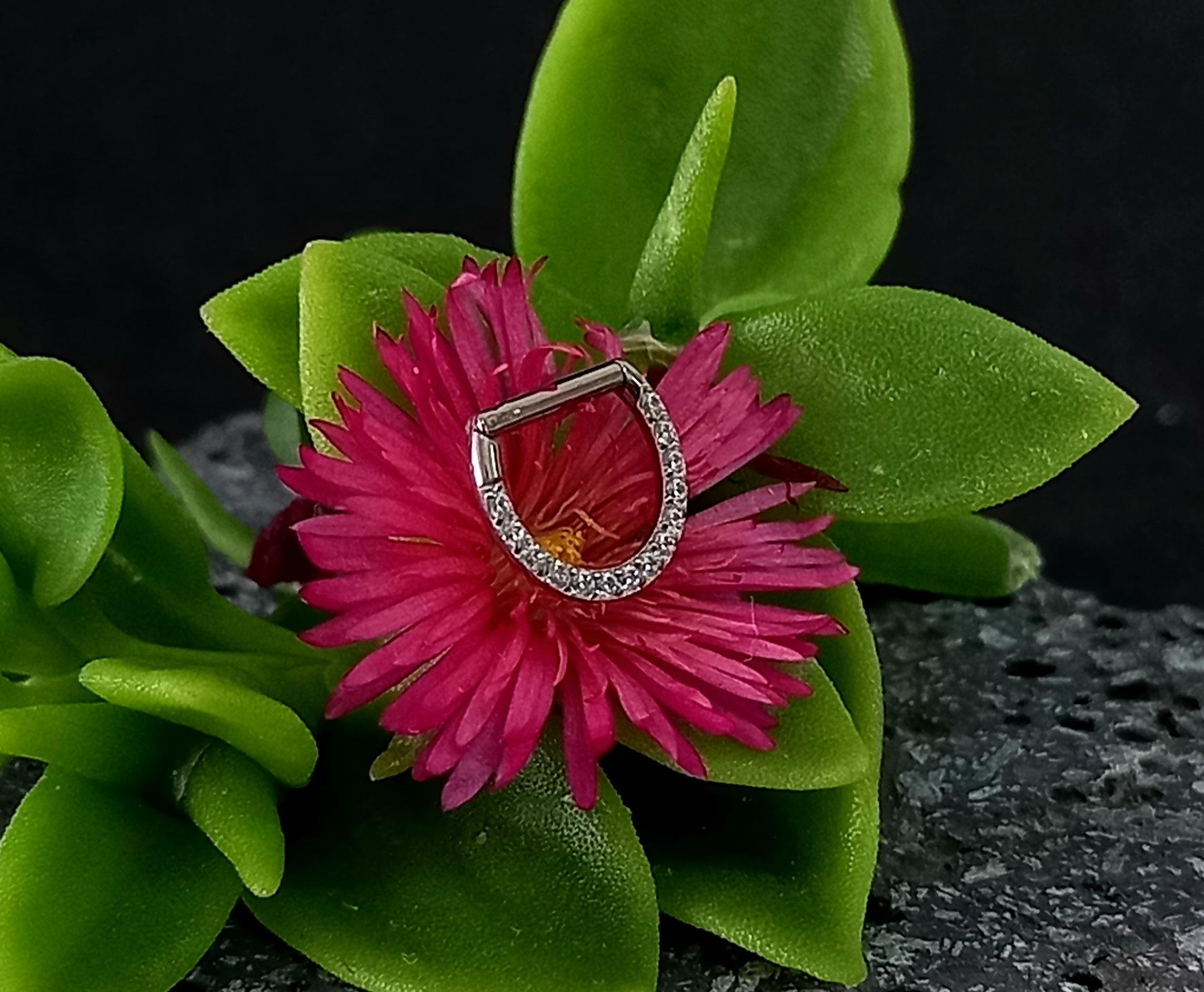 Argolla clicker D con brillo frontal