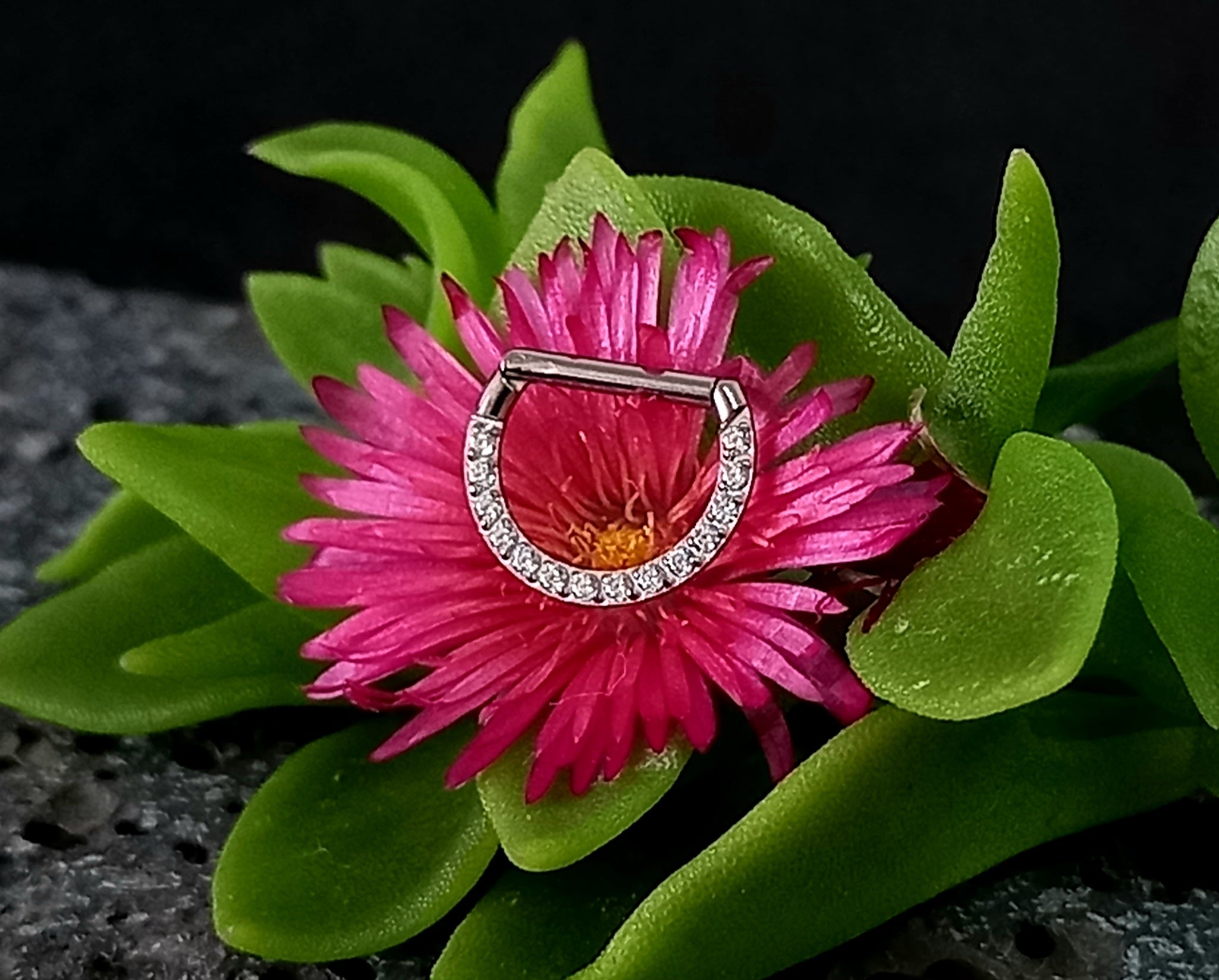 Argolla clicker D con brillo frontal