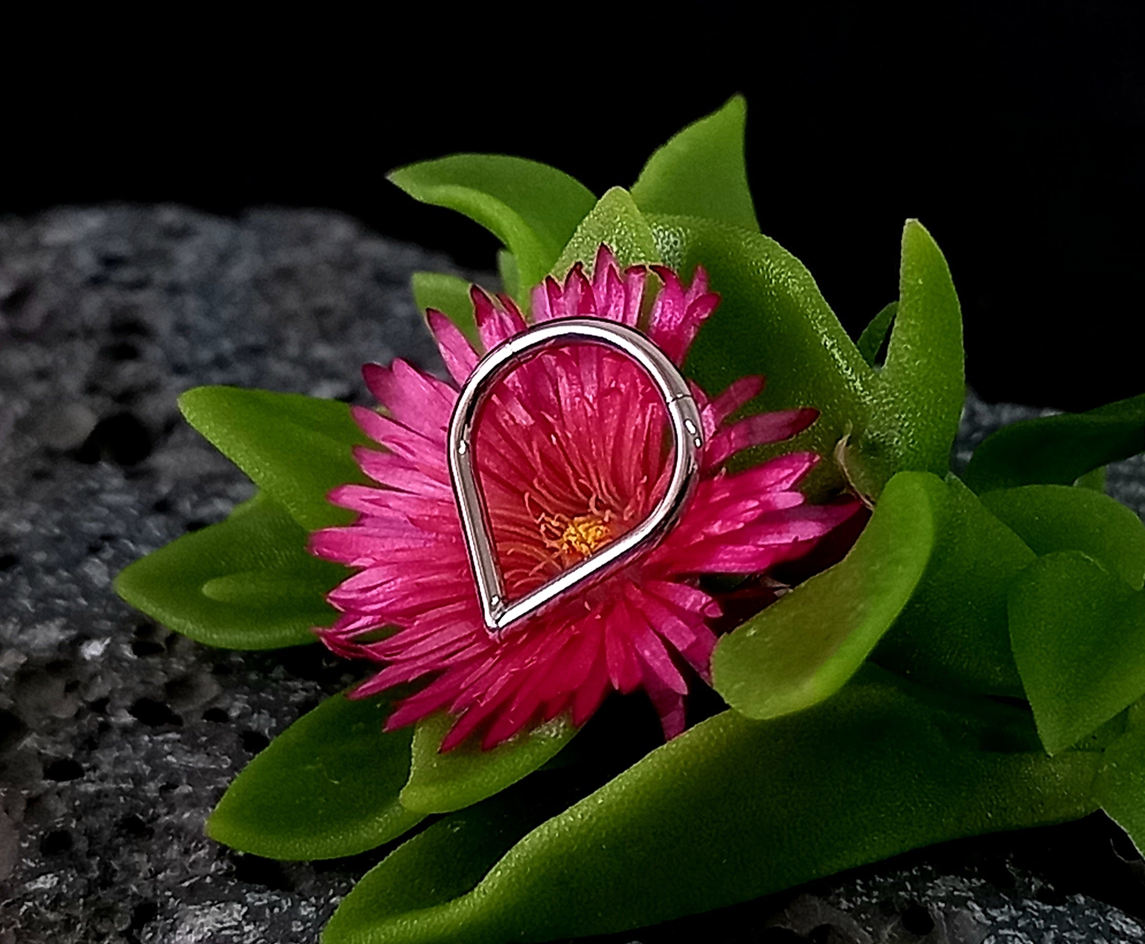 Argolla clicker gota lisa