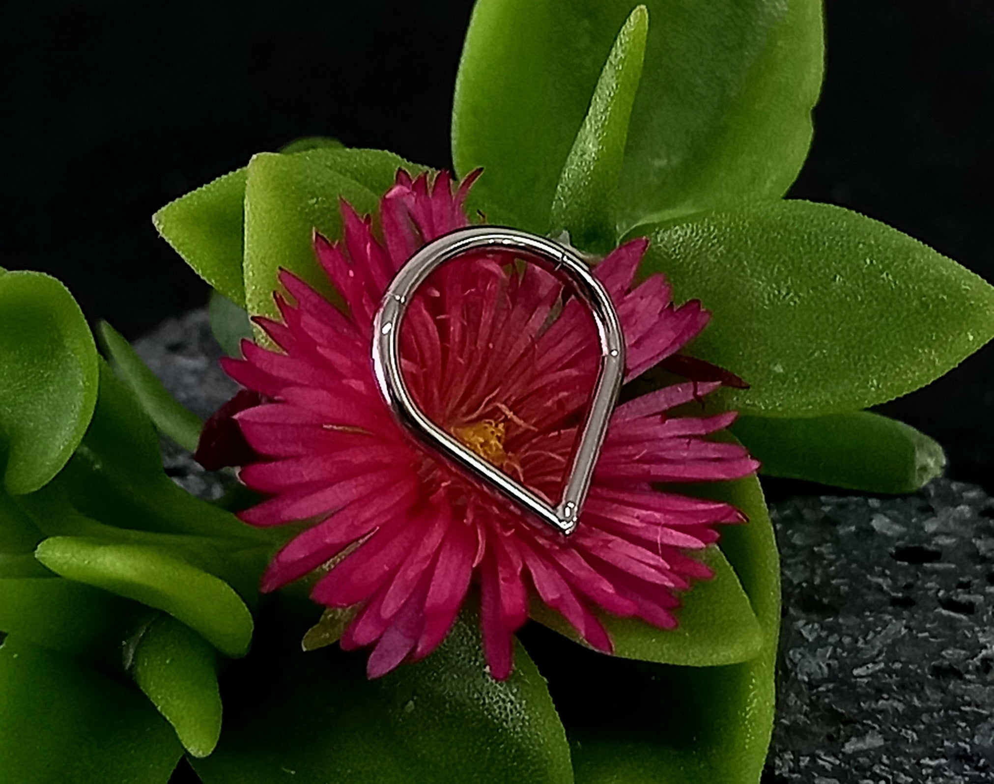 Argolla clicker gota lisa