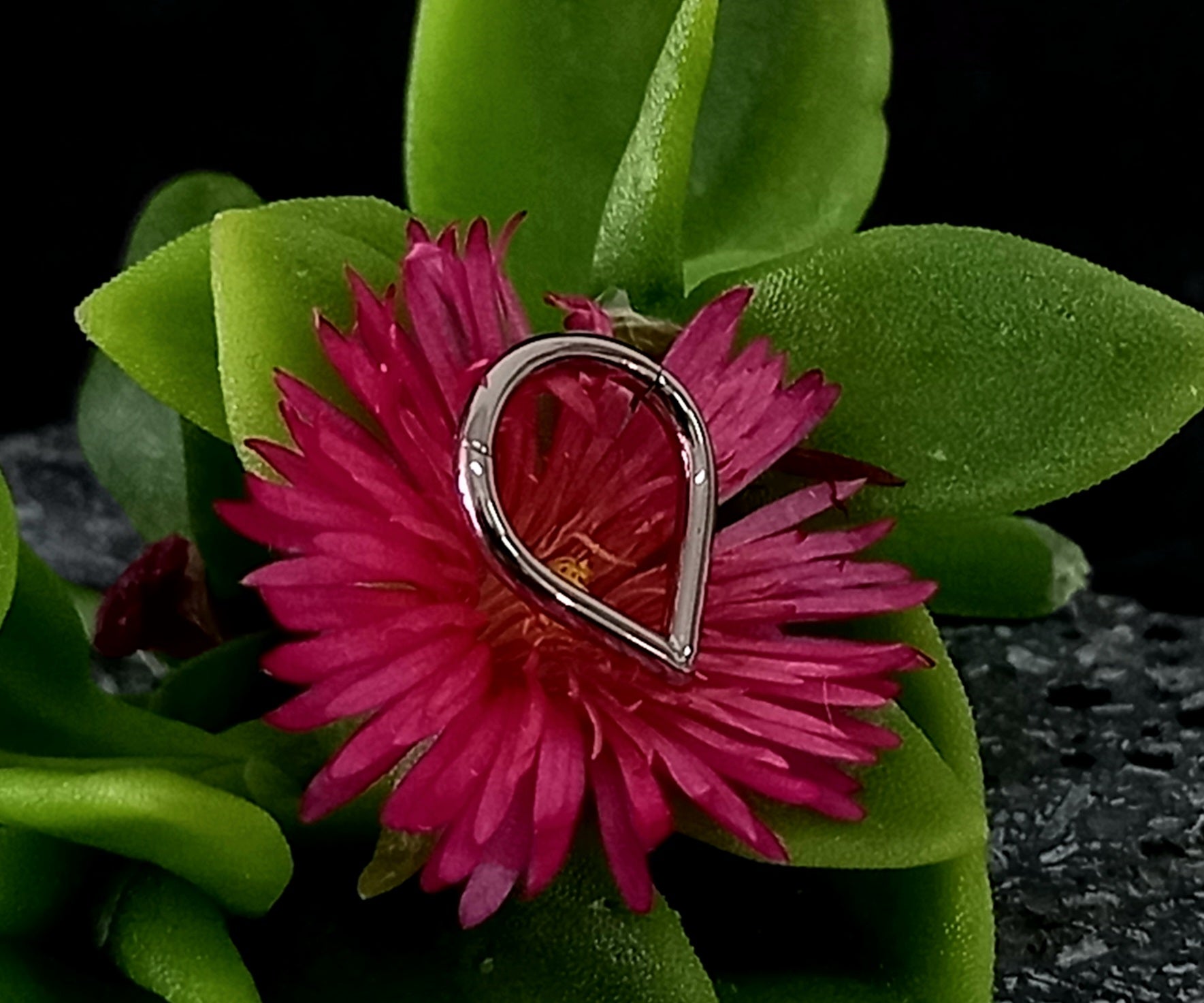 Argolla clicker gota lisa