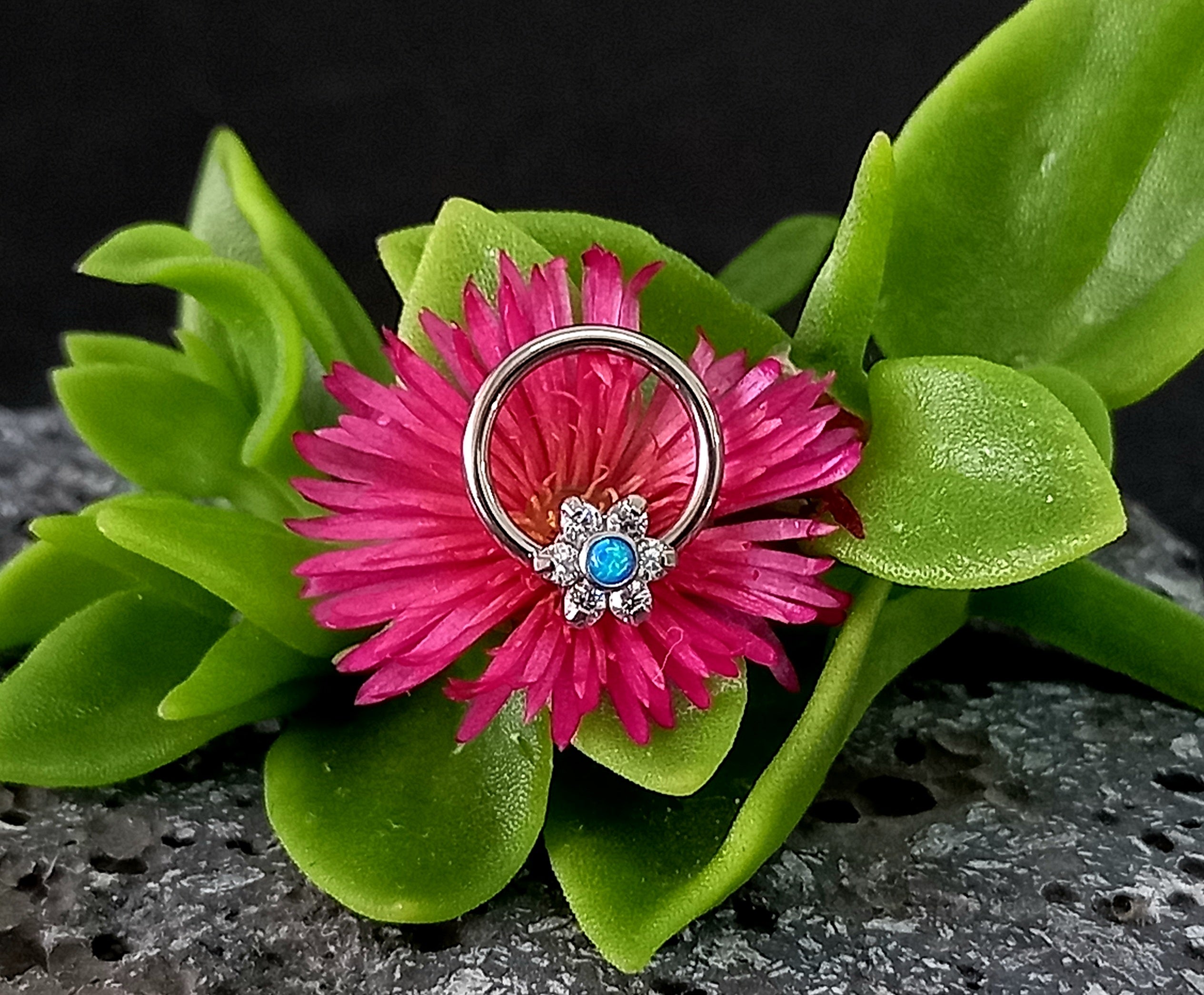 Captive cluster para armar