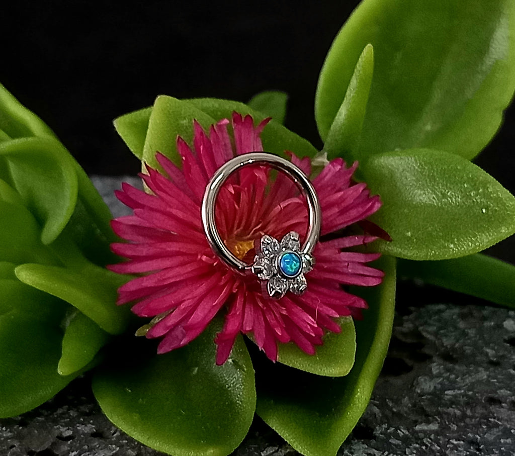 Captive cluster para armar