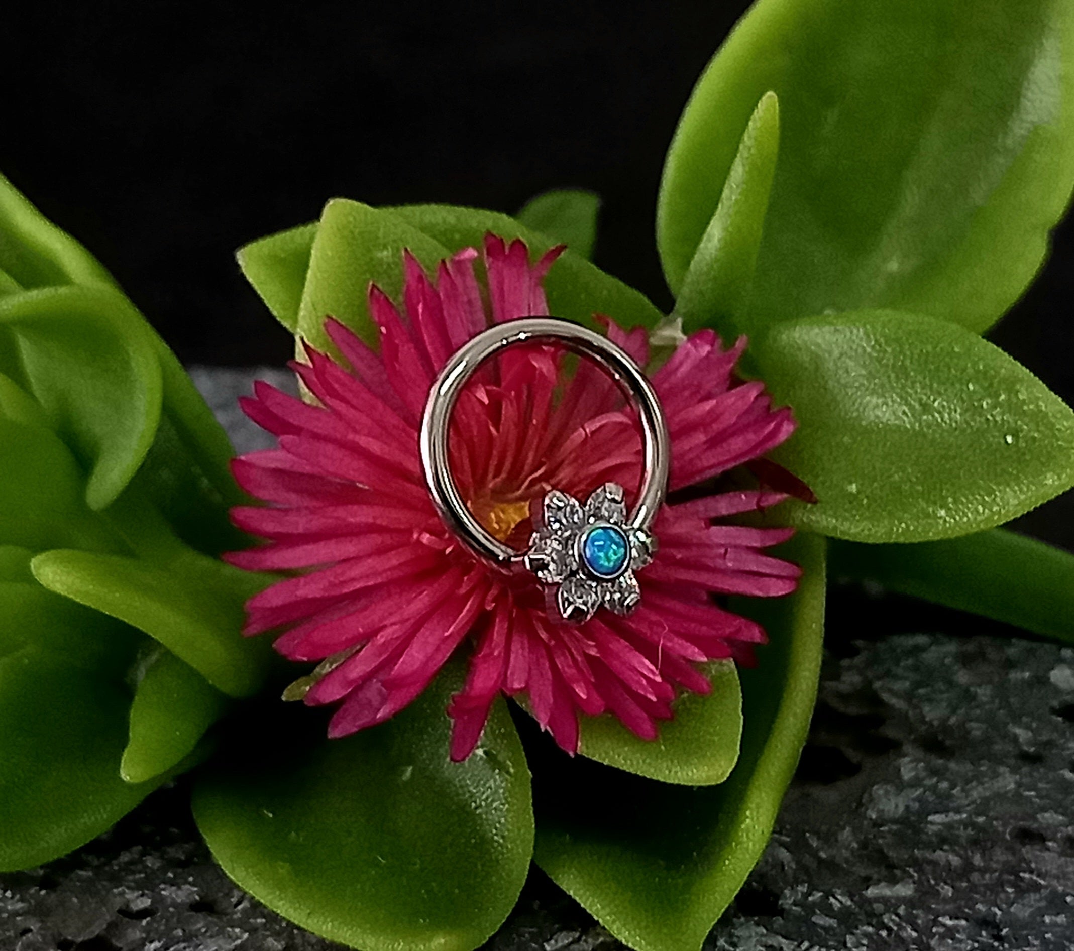 Captive cluster para armar