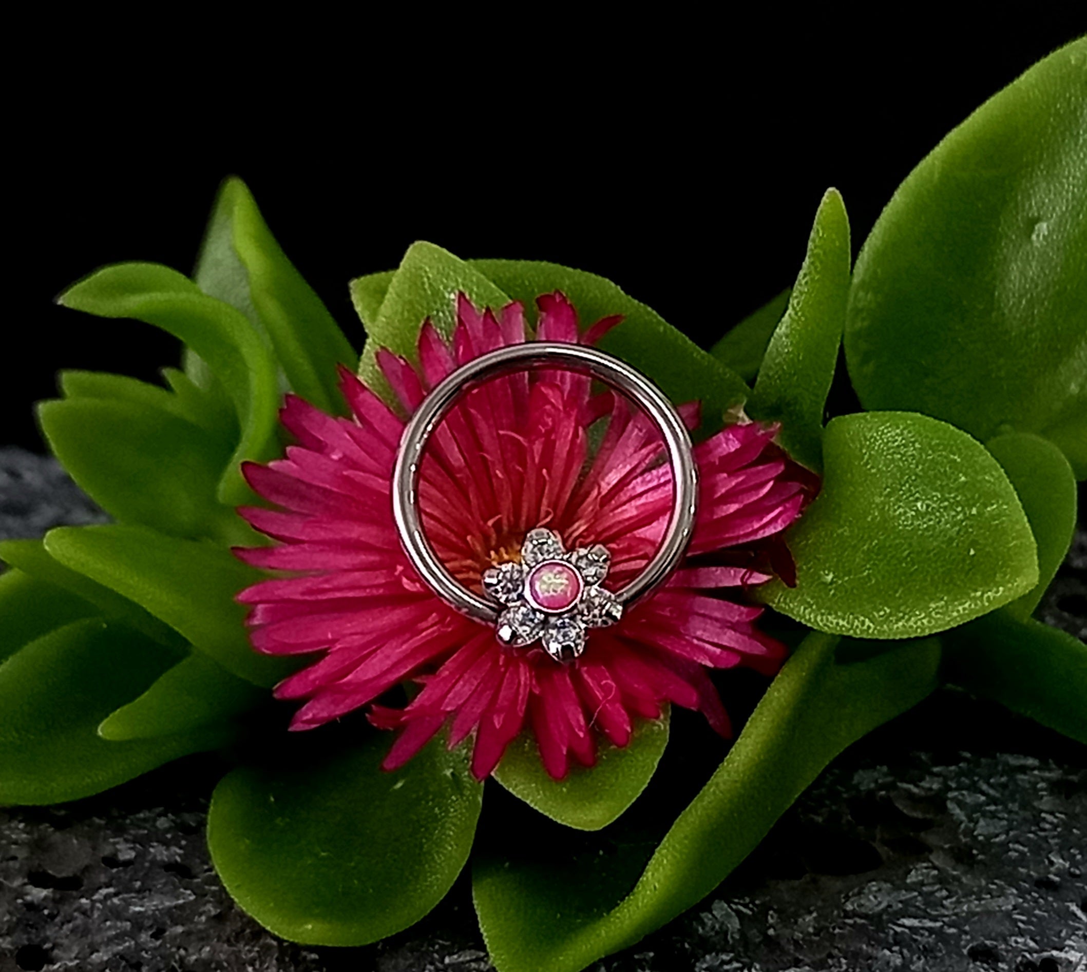 Captive cluster para armar