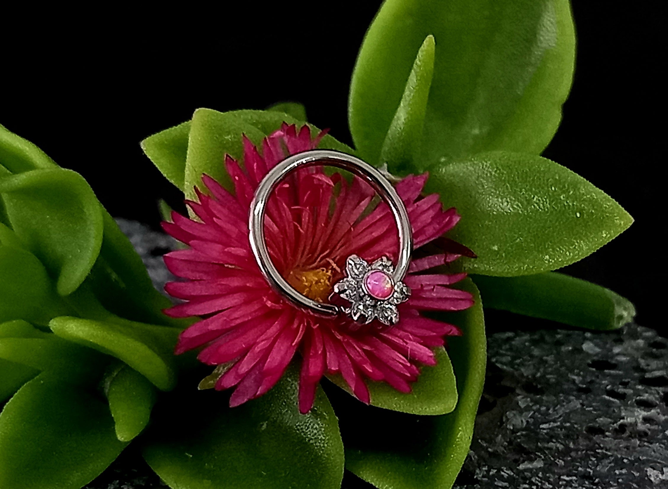 Captive cluster para armar