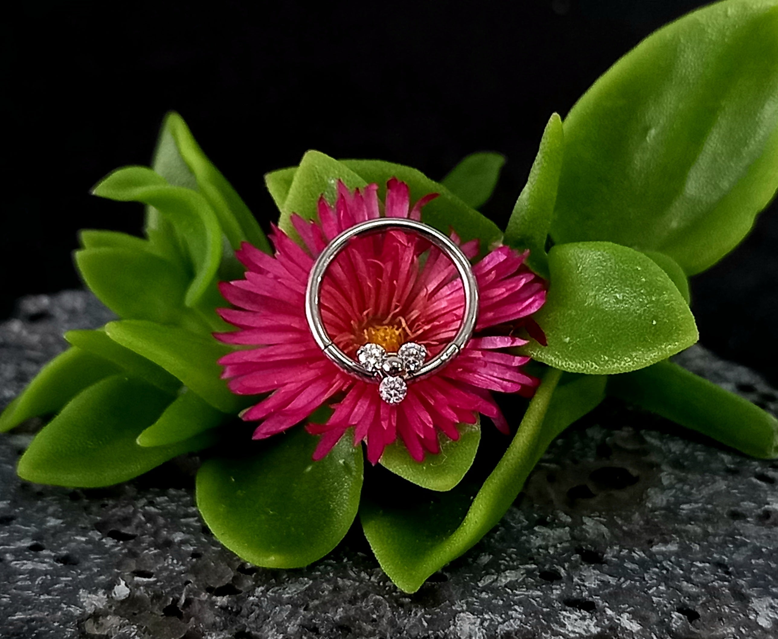 Argolla clicker con trinity clear