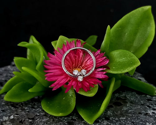 Argolla clicker con trinity clear