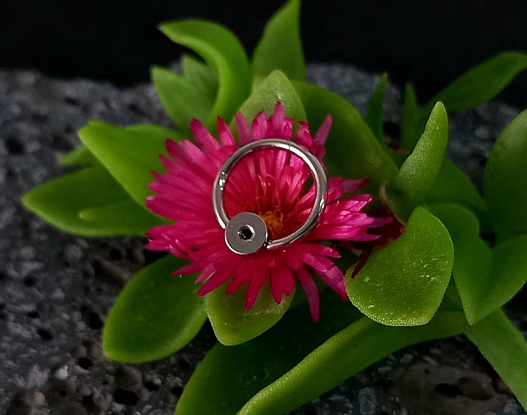 Captive cluster para armar